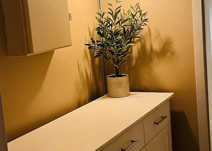 Апартаменты Cozy