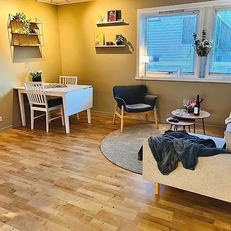 Cozy Leilighet *